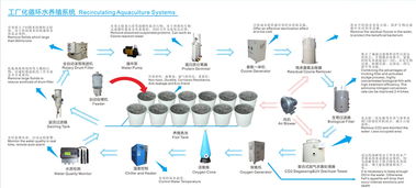 詳解工廠化循環(huán)水養(yǎng)殖系統(tǒng)與計算機系統(tǒng)服務(wù)的融合